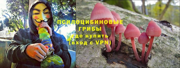сатива Пролетарск