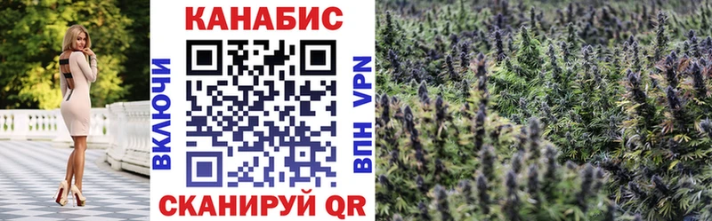 наркотики  Белая Холуница  Канабис ГИДРОПОН 